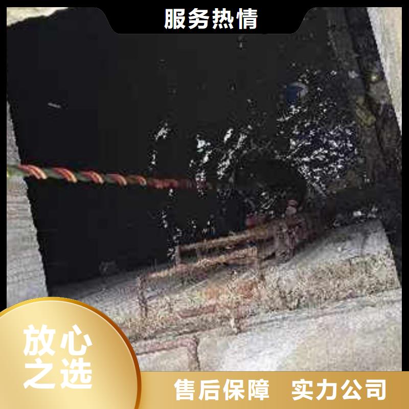 首选:卢龙生化池曝气管,盘,板潜水更换<卢龙本地队伍>-品质放心