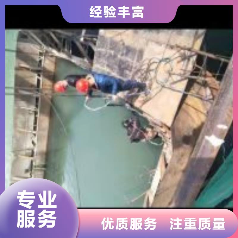 本地的潜水员水下拍照厂家