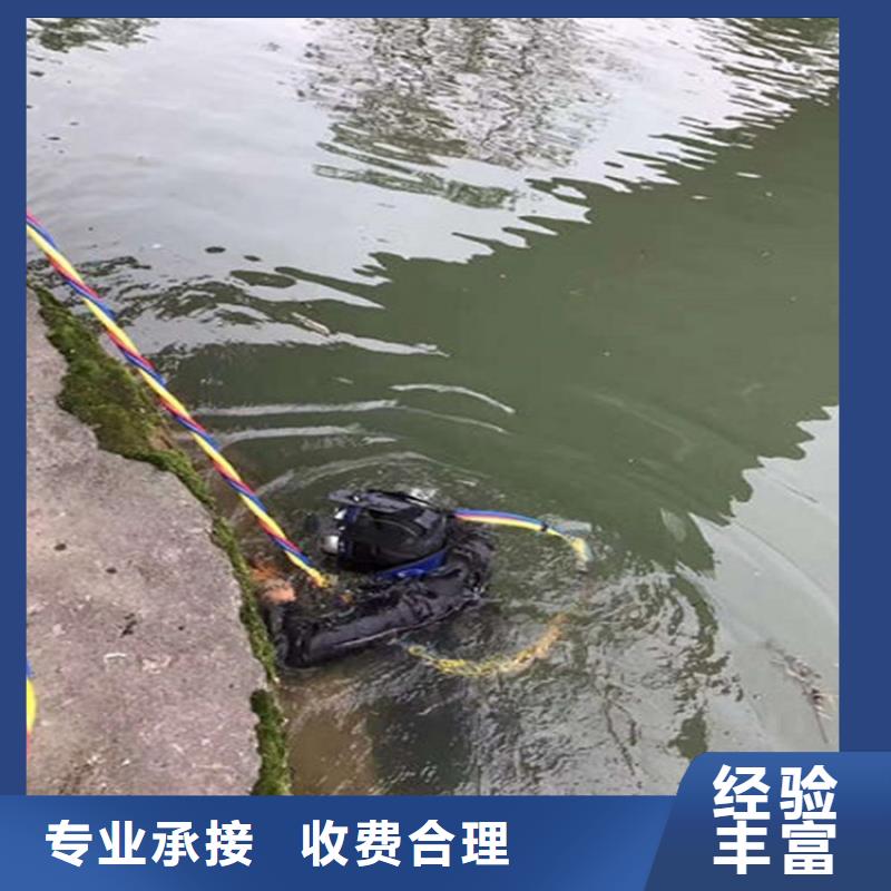 潜水员水下摄影价格品牌:东泓潜水工程公司