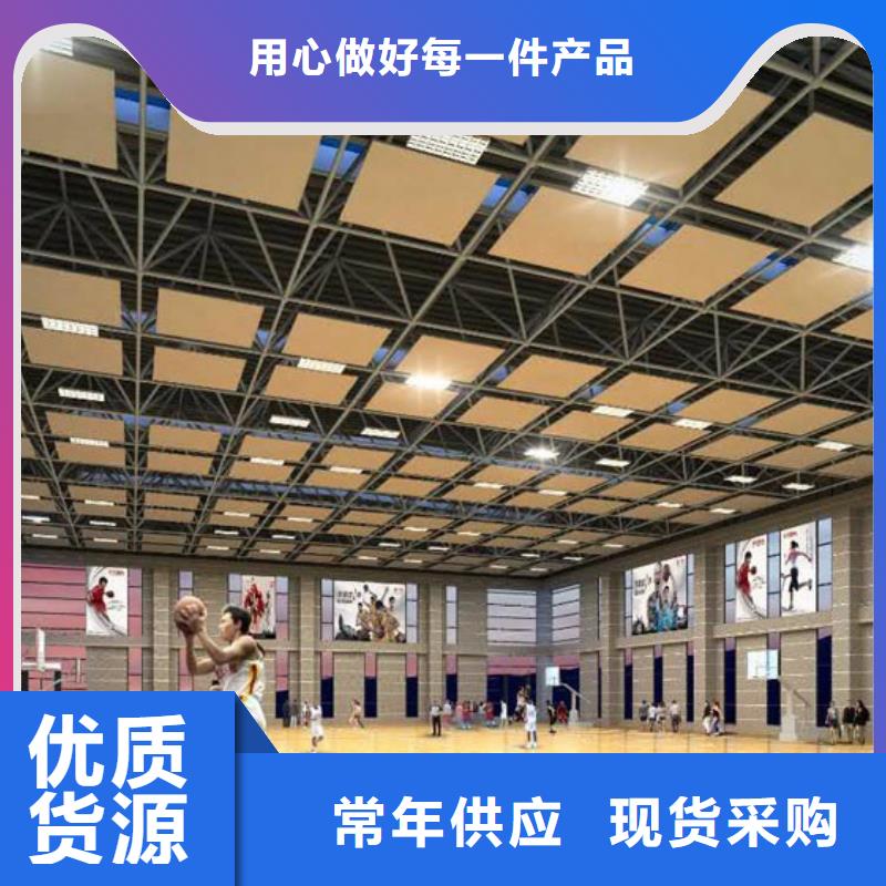 莞城街道大型体育馆声学改造公司--2024最近方案/价格