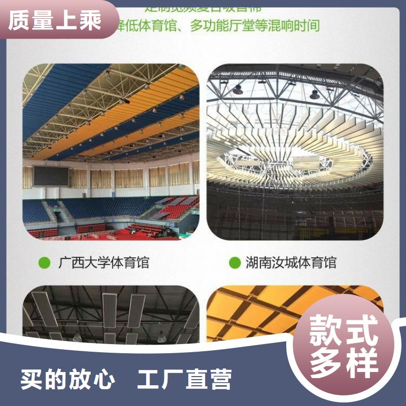 广东省深圳市翠竹街道游泳馆体育馆声学改造方案--2024最近方案/价格