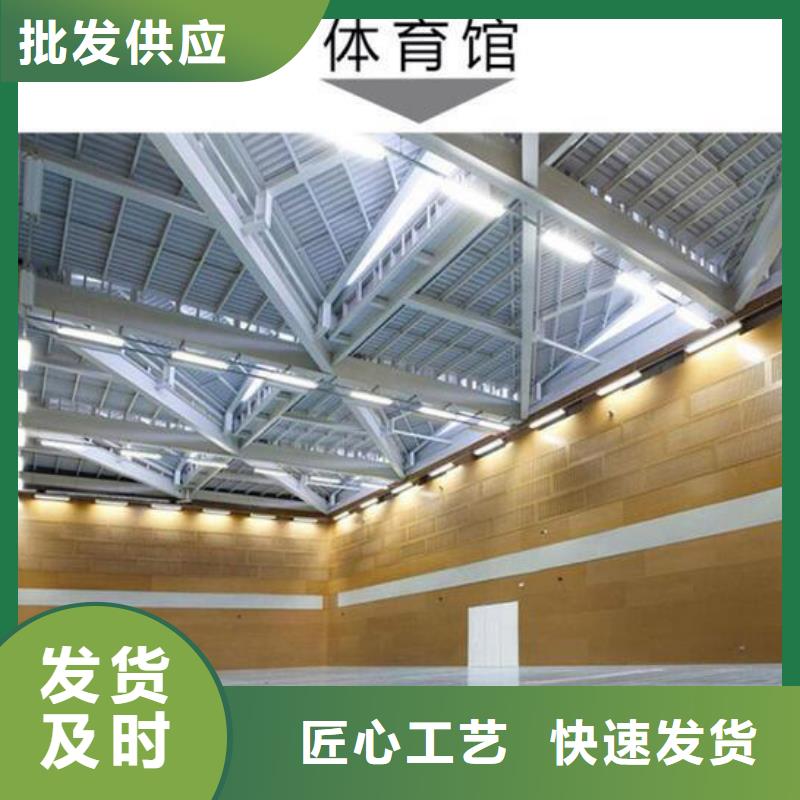 应城市专业体育馆吸音改造方案--2024最近方案/价格