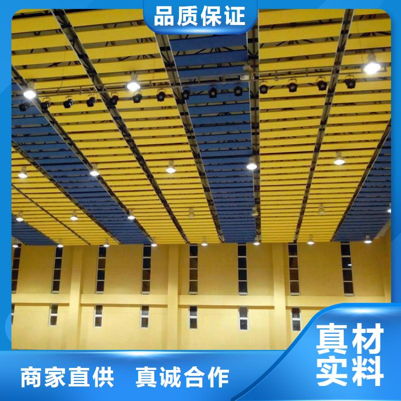剑阁县集团公司体育馆吸音改造价格--2024最近方案/价格