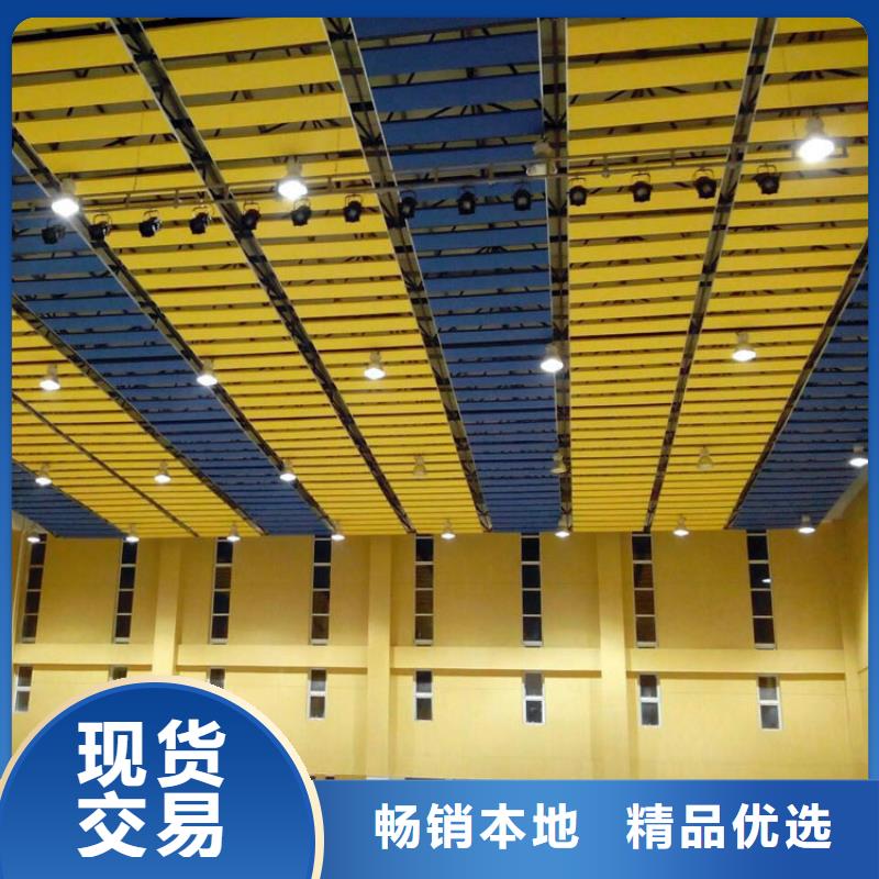 江陵县公司体育馆吸音改造公司--2024最近方案/价格