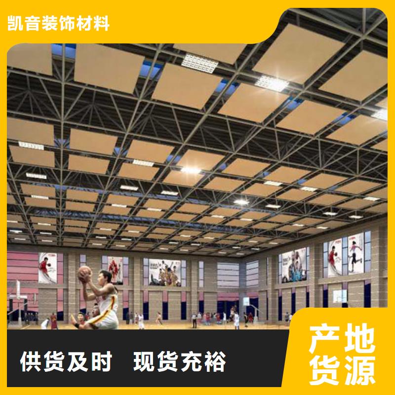 广东省广州市番禺区羽毛球馆体育馆吸音改造价格--2024最近方案/价格