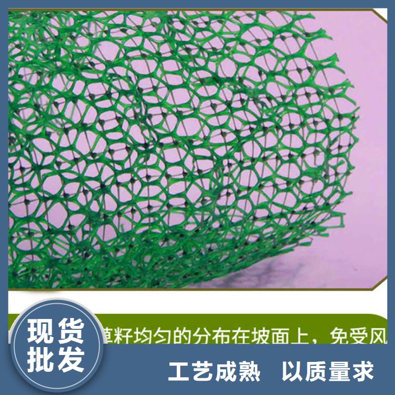 【三维植被网土工膜定制销售售后为一体】