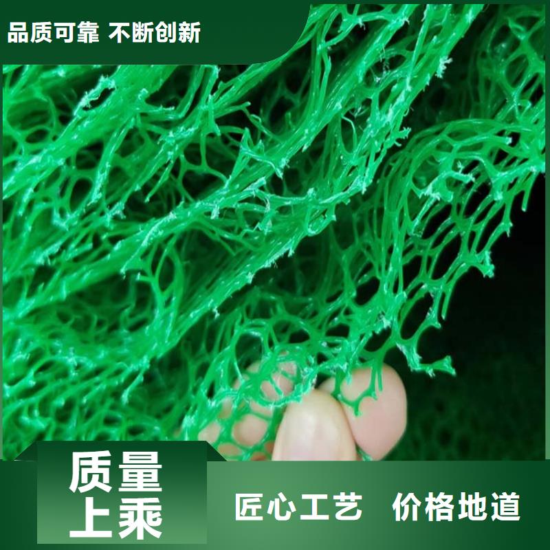 三维植被网_【砂浆混凝土纤维】真正的源头厂家