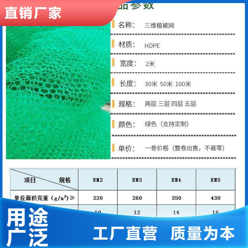 三维植被网渗排水网垫商家直供