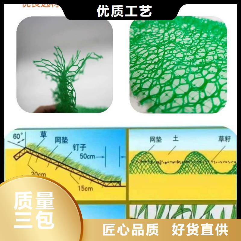 【三维植被网止水铜片精品优选】