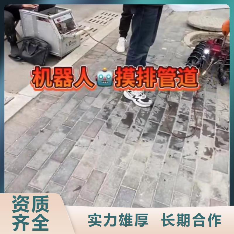 政管网封堵水气囊