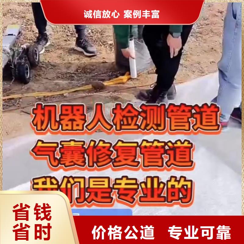 政管网封堵水气囊