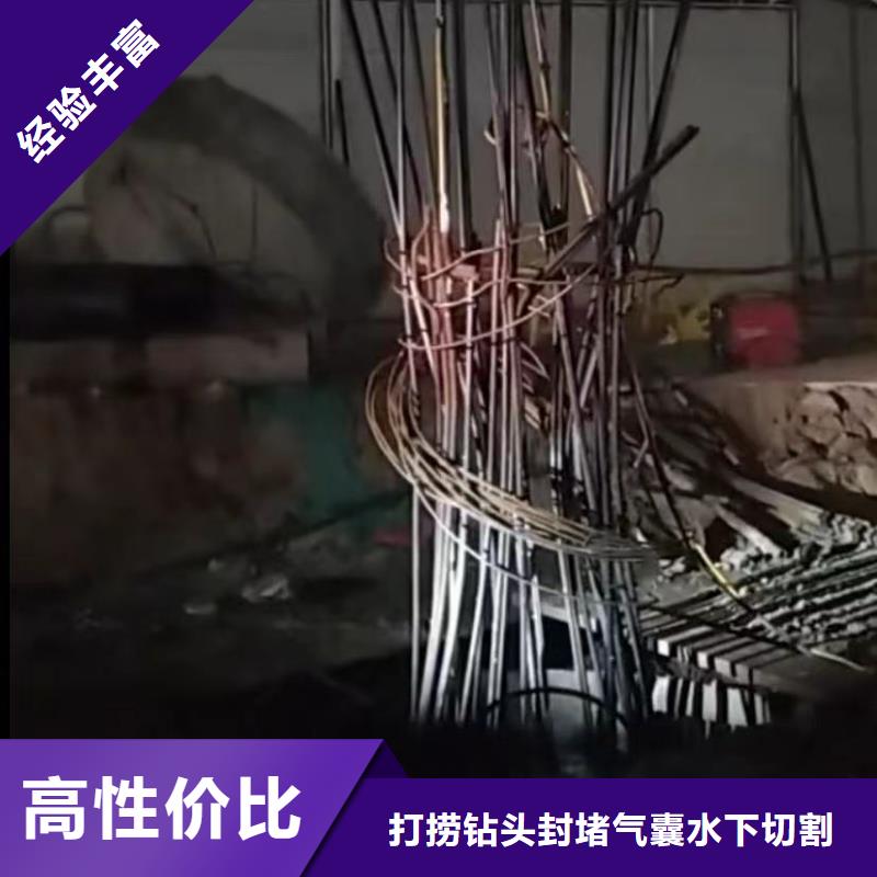 销售潜水员专业封堵气囊_厂家/供应