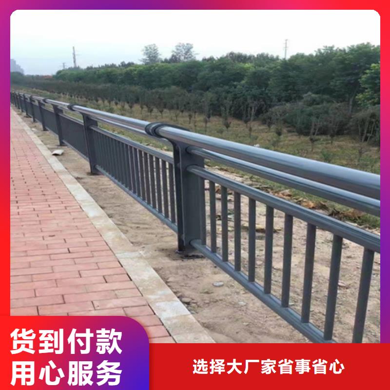 金川道路两侧防撞护栏每米价格