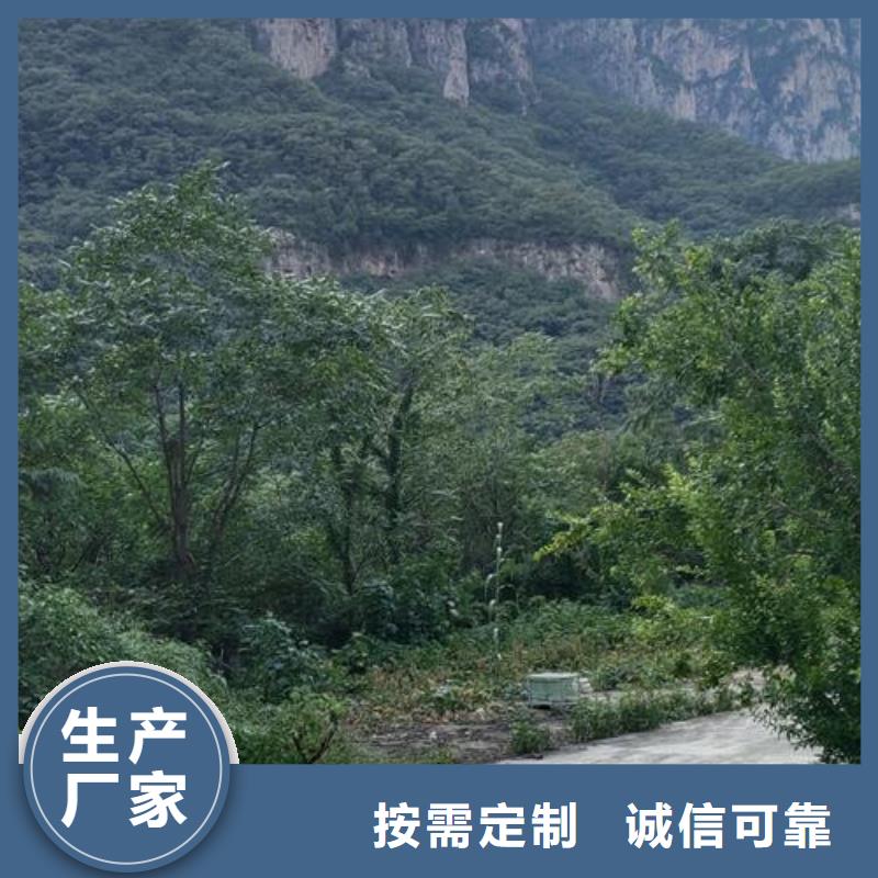 三山区混凝土泵机