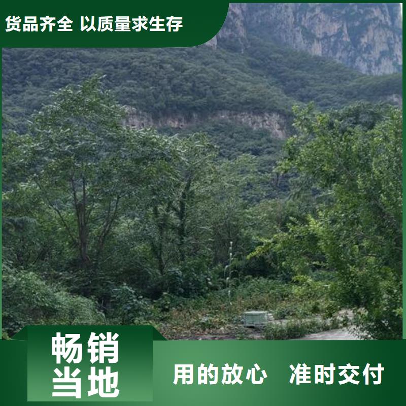 小型混凝土泵,陶粒混凝浇筑优选原材