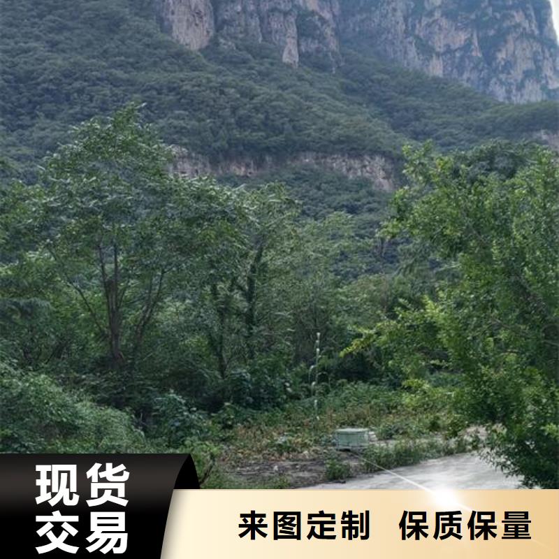 混凝土输送泵厂家地址