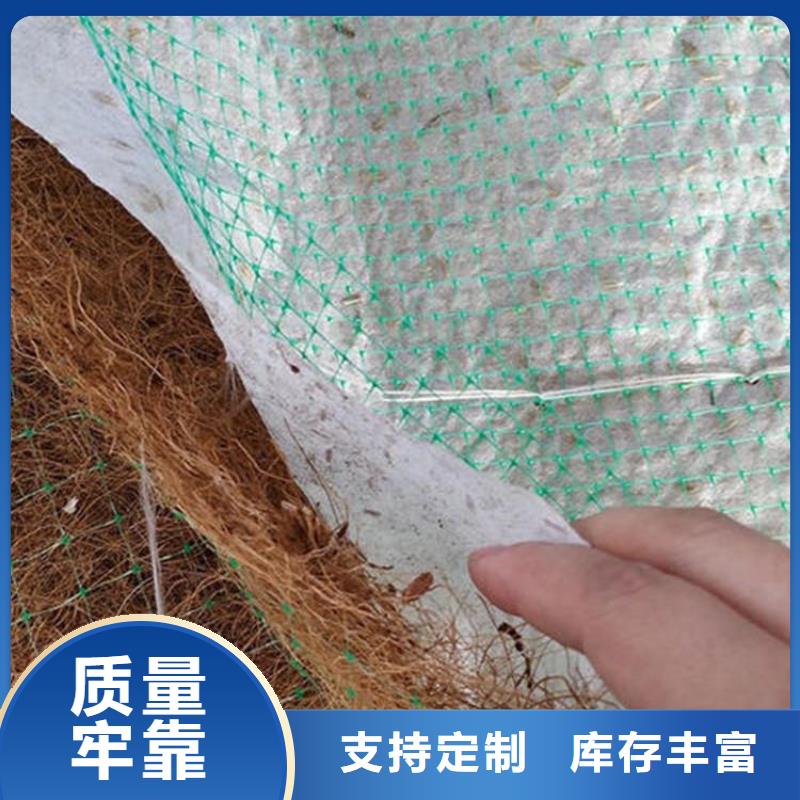 植物纤维毯加筋抗冲生物毯