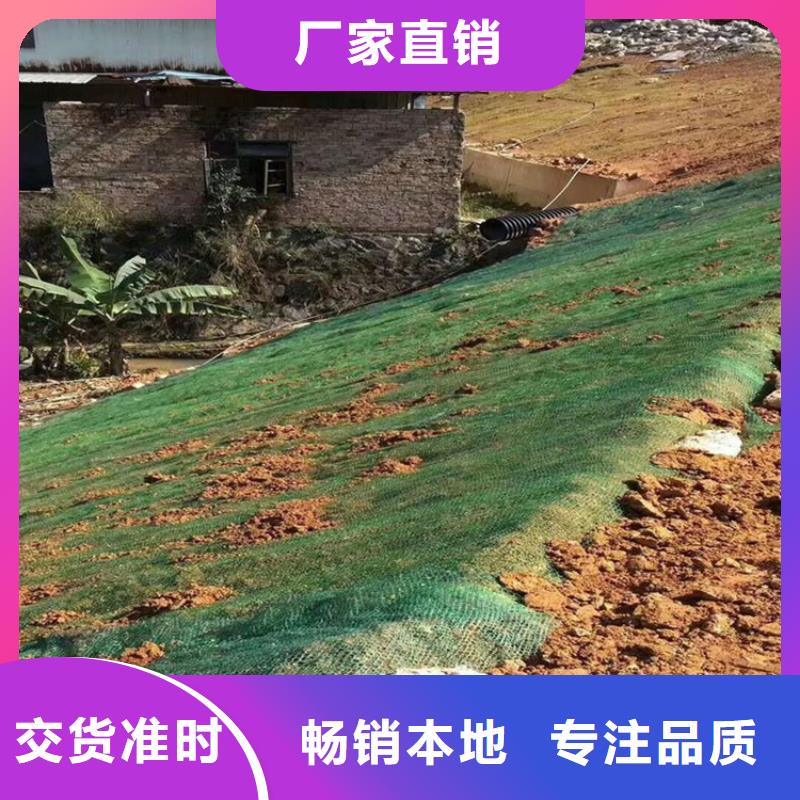 加筋抗冲生物毯-加筋抗冲生态毯产品参数