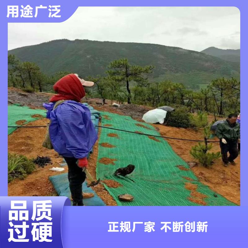 植物生态防护毯加筋抗冲生态毯厂家-供求