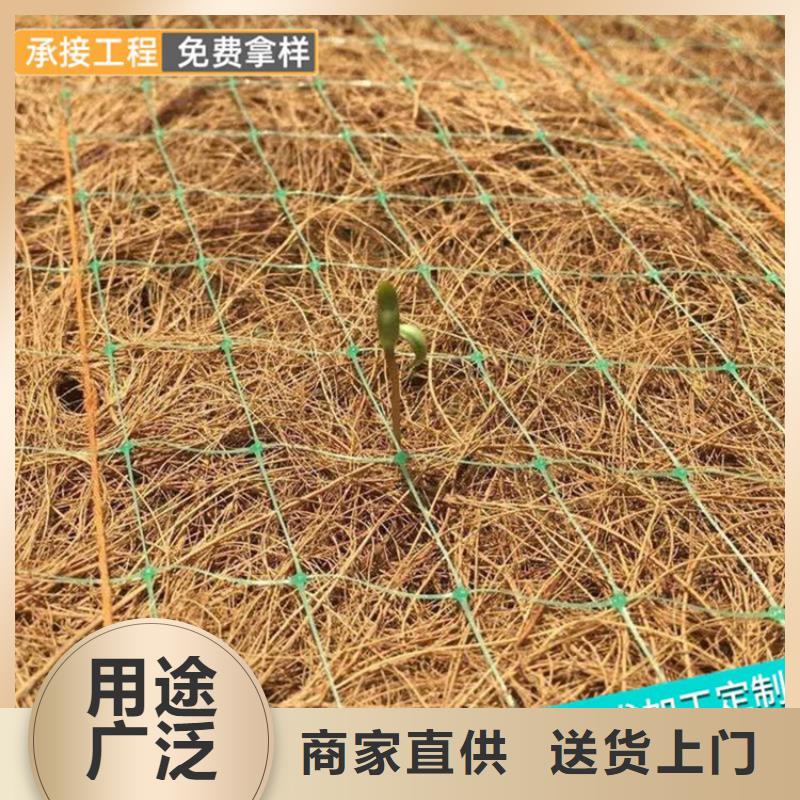 植物生态防护毯全国走货