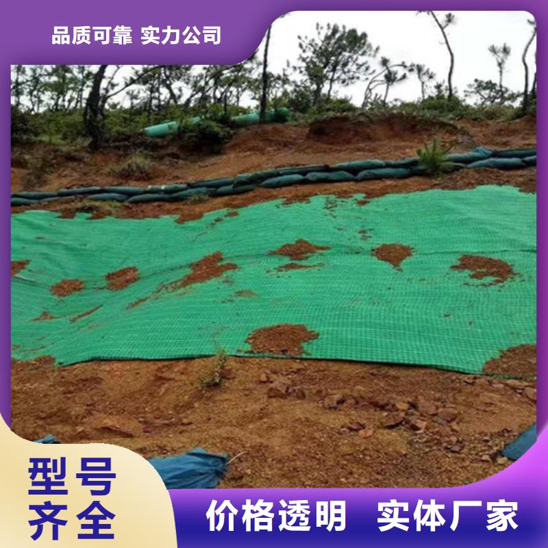 椰丝植物纤维毯-公路植生毯-加筋复合植生毯