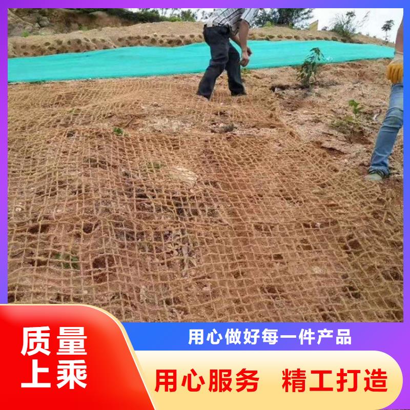 护坡植被植草毯-公路植生毯