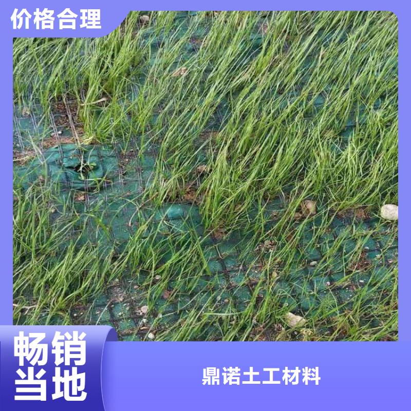 植生椰丝毯市场