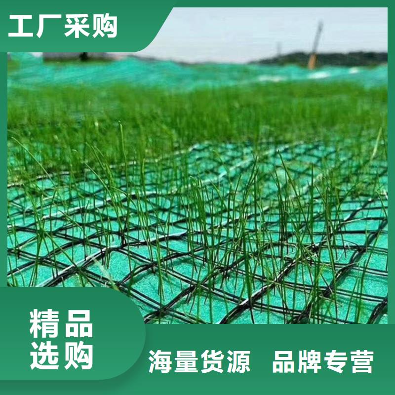 椰丝毯-种草毯-水保植物纤维毯