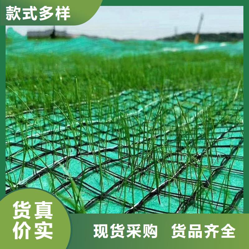 抗冲生态毯-秸秆植物纤维毯-生物草毯生态垫