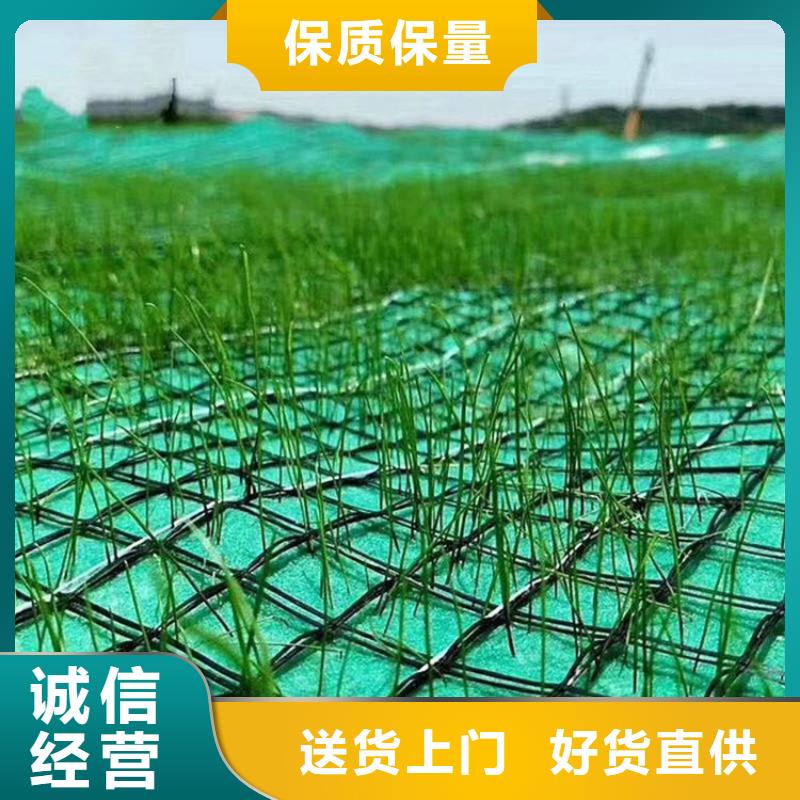 椰丝植生毯-稻草植物纤维毯-绿化草毯