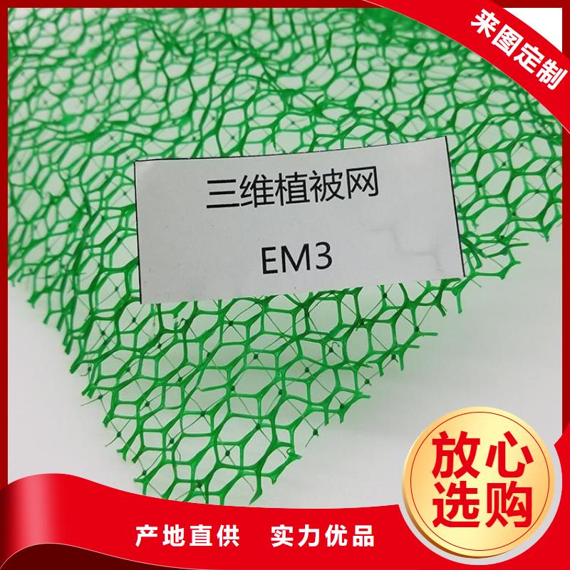 EM3三维植被网施工