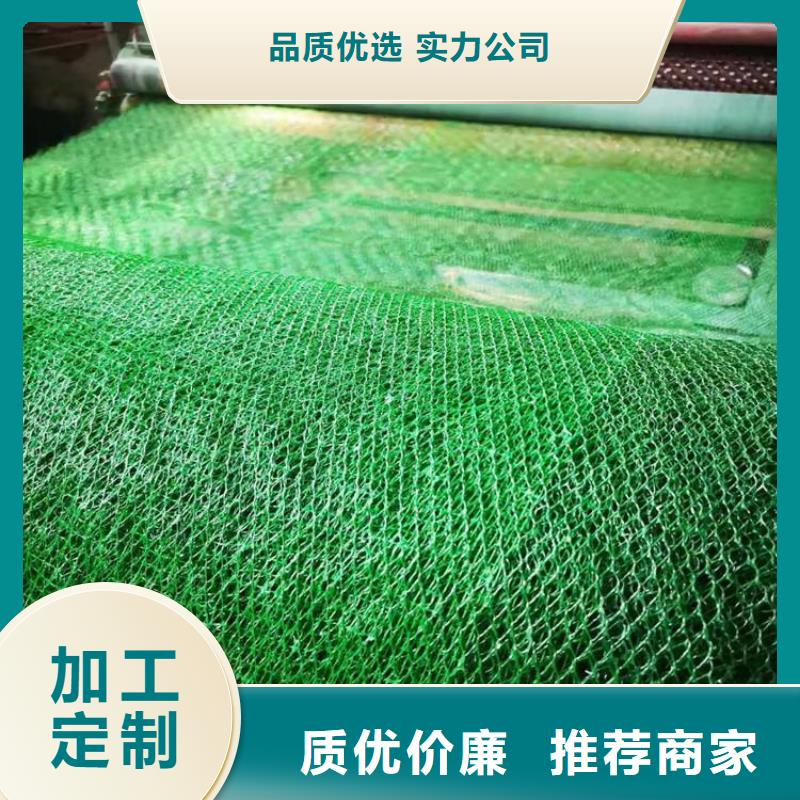 【三维植被网双向塑料土工格栅自产自销】