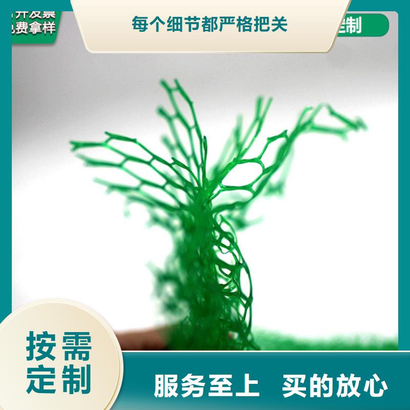 【三维植被网】防渗膜专注生产N年