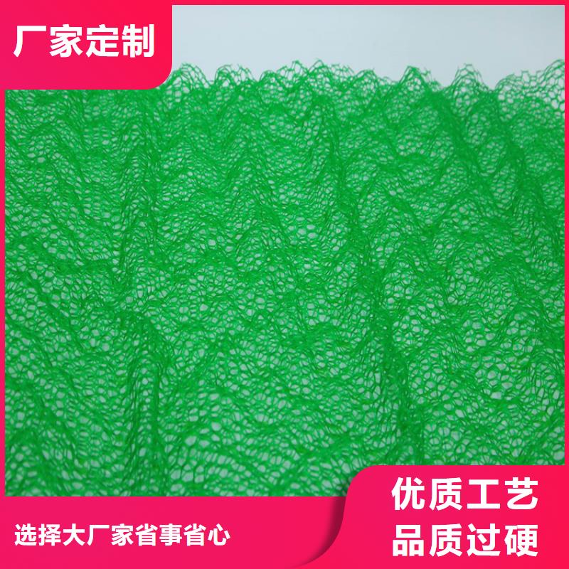 供货及时(鼎诺)三维植被网土工布把实惠留给您