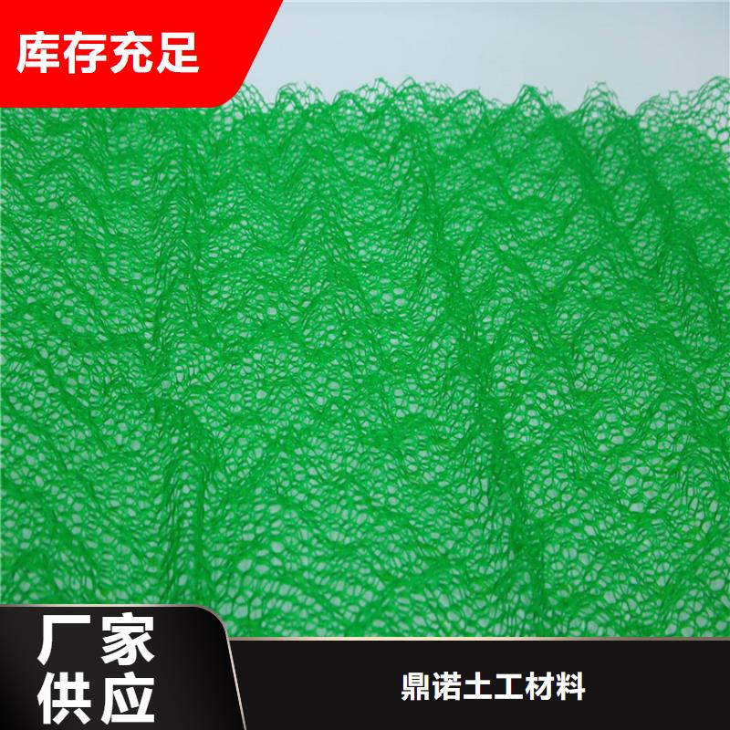 绿化环保加筋护坡植草网垫