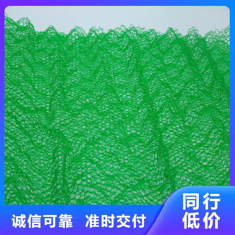 三维植被网-三维土工网