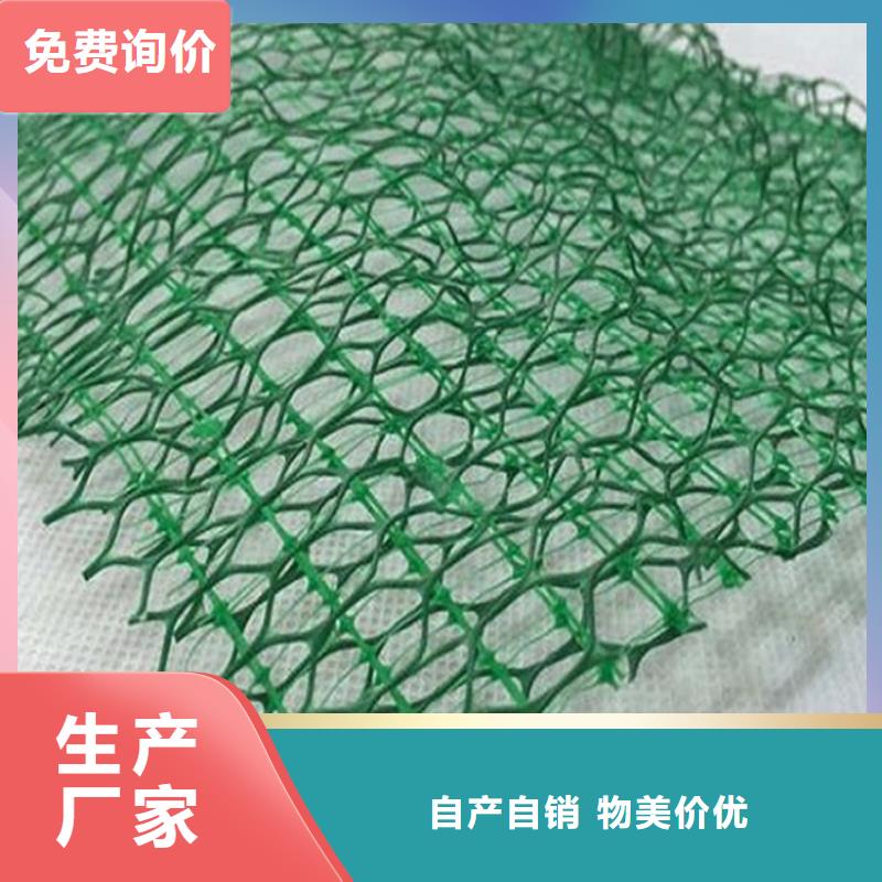EM5三维加筋网垫-绿色三维植被网