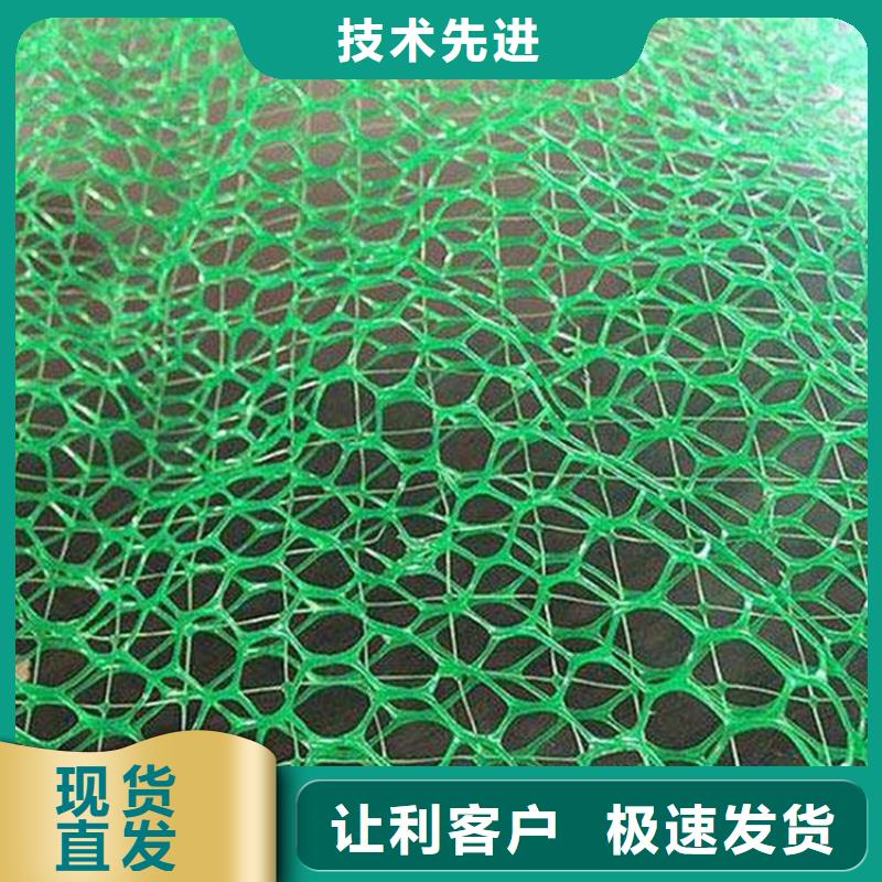 三维土工网垫-三维护坡植草网垫