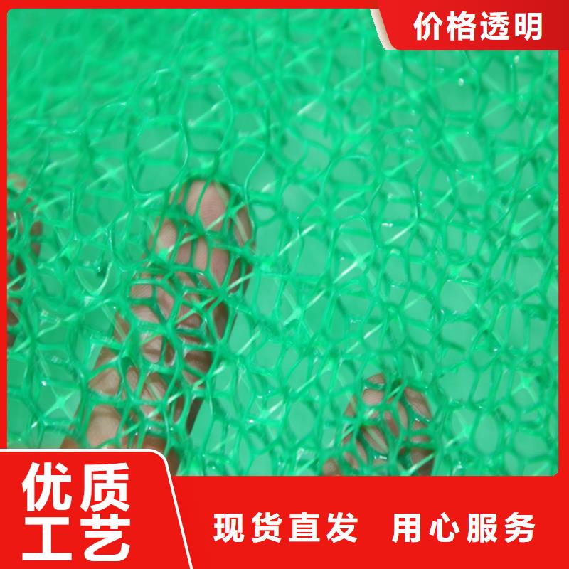 附近[鼎诺]EM2塑料三维土工网垫