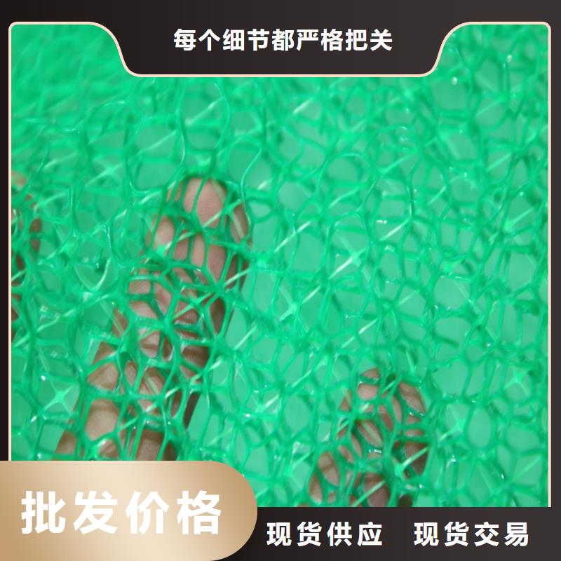 EM4塑料加筋护坡植草网垫