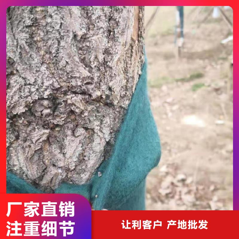 裹树布硬式透水管大库存无缺货危机