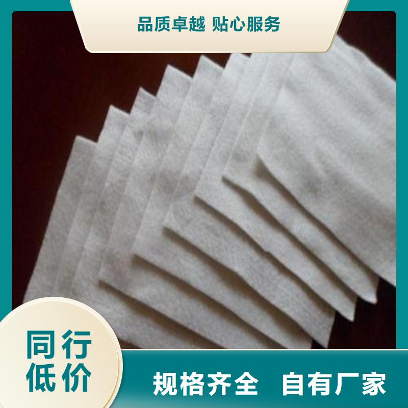 厂家直营【中齐】土工布-非织造土工布-两布一膜复合土工布