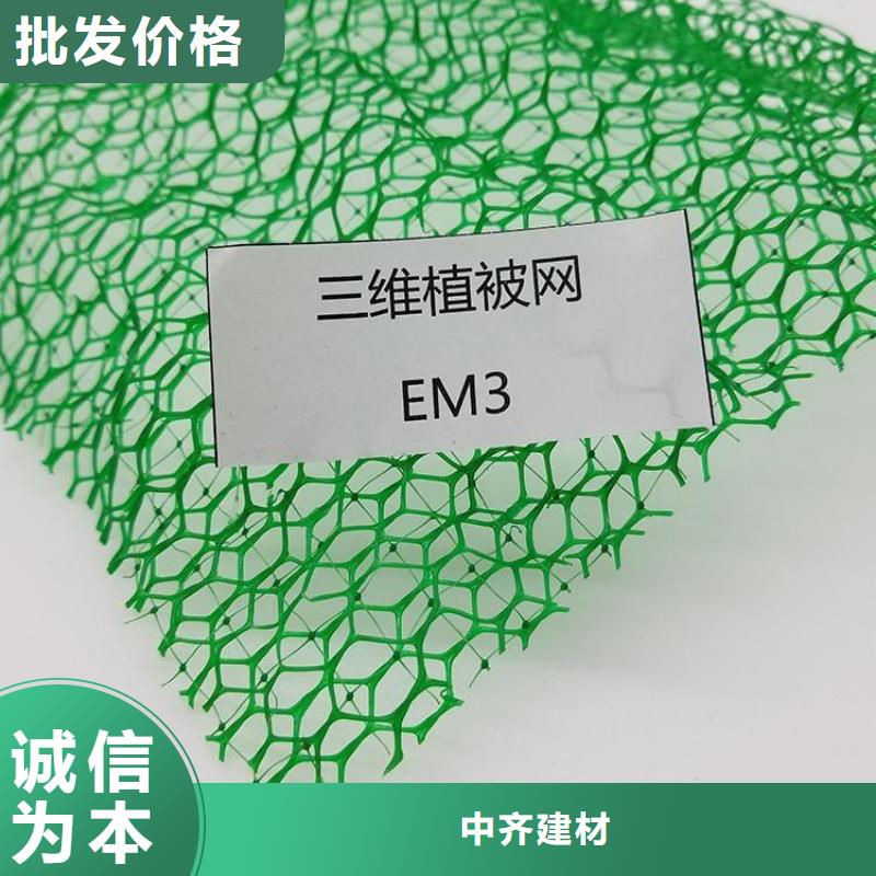 三维植被网防渗膜实力优品