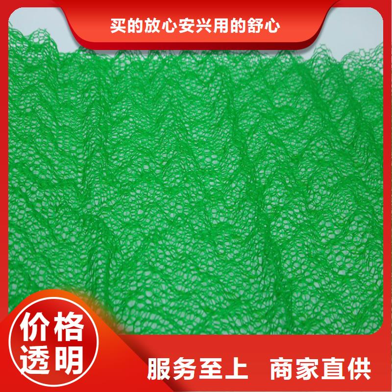 三维植被网【土工膜】工厂直供