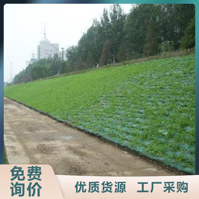 绿化EM3三维加筋土工网垫