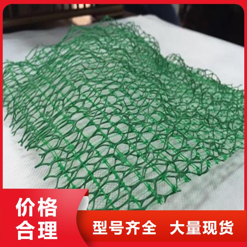 绿化EM3三维加筋土工网垫