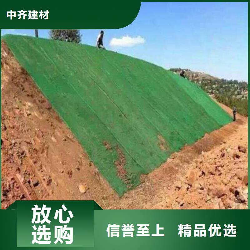 EM5绿化三维土工网垫