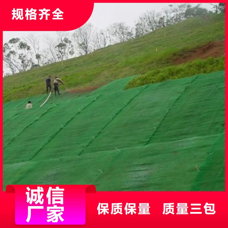 三维护坡植草网垫结构