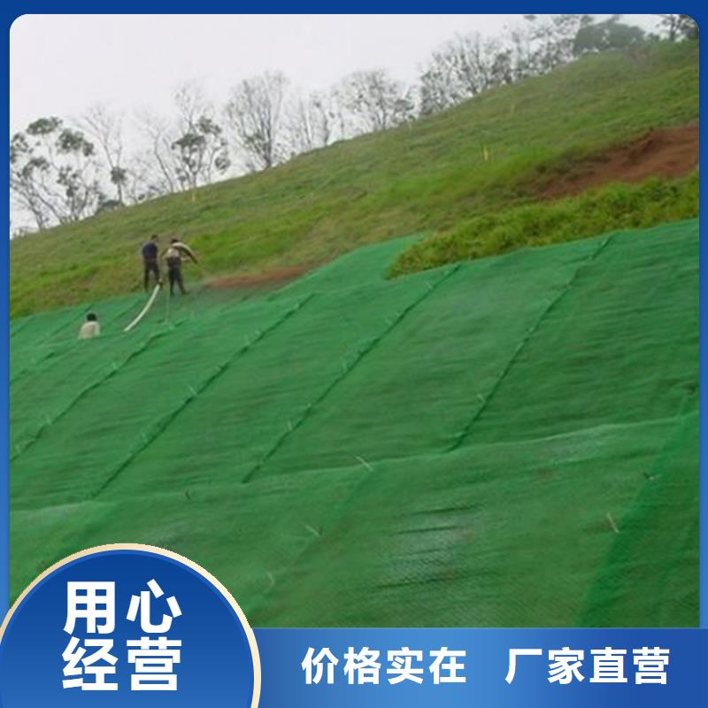 EM5绿化三维土工网垫