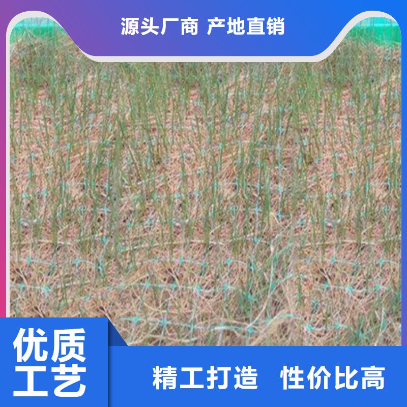 植物纤维毯-公路植生毯-椰丝护坡毯